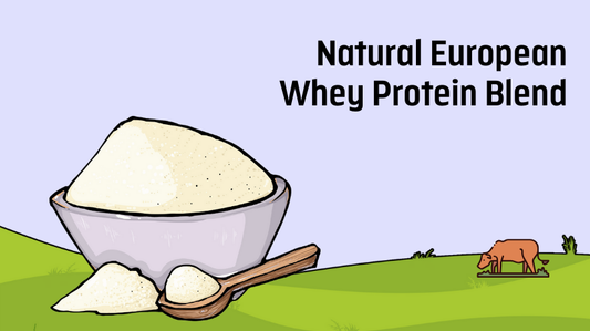 Pure Power: Our All-Natural European Whey Protein Blend
