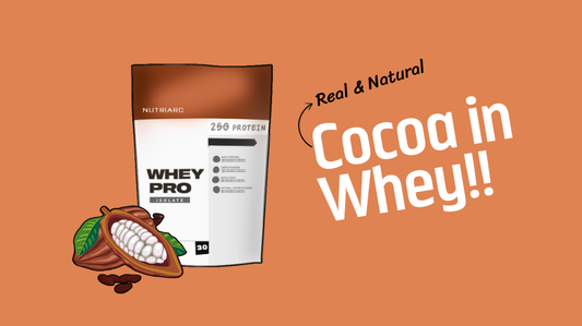 Unveil the Richness: Natural Cocoa Powder in Our Whey Protein
