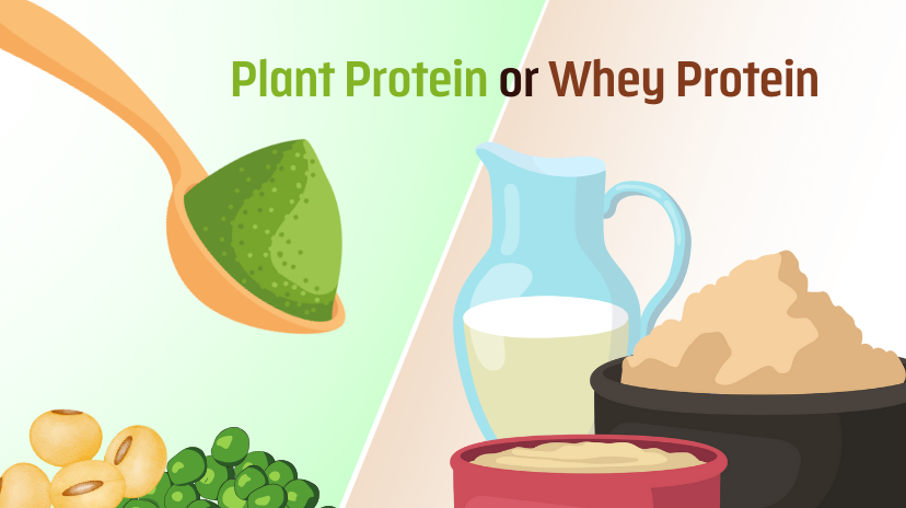 Whey Protein vs. Plant Protein: Which Protein Is Best For You